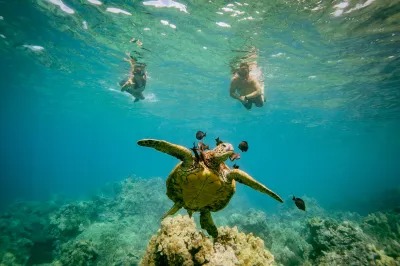 imgi_56_Half-Day-Snorkel-trip-on-a-Charming-Hawaiin-Catamaran-8AM-1PM-image-1